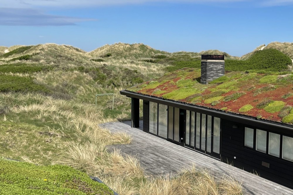Sedum Sommerhus 3.2