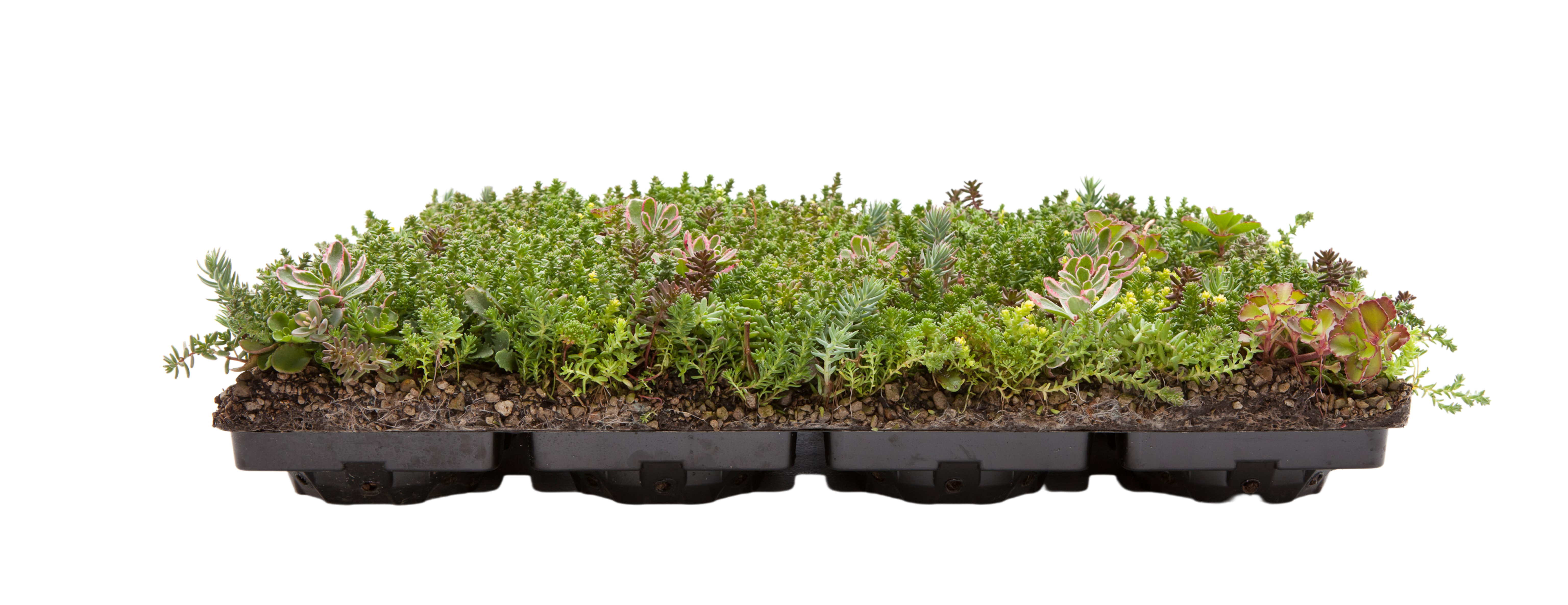 Design Uden Navn (1)