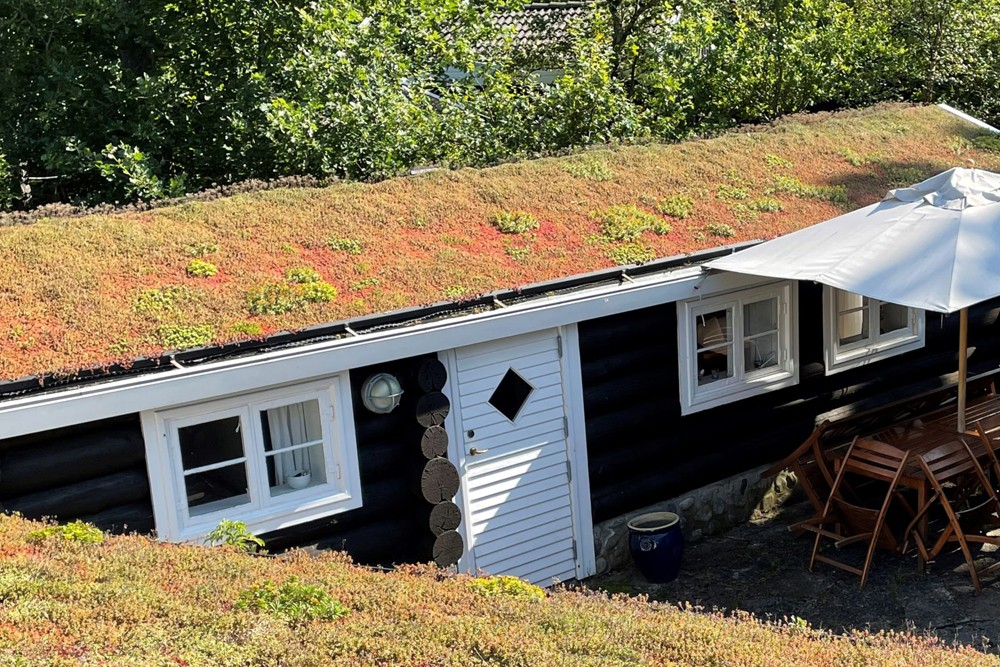 Sedumtag Stenvej 3.2